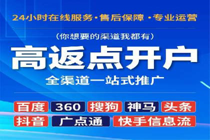 某知名企业SEM营销全案解析